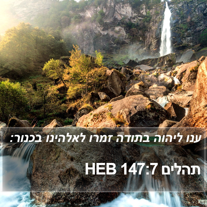 תהלים 147:7 HEB Bible Study