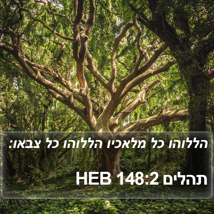 תהלים 148:2 HEB Bible Study