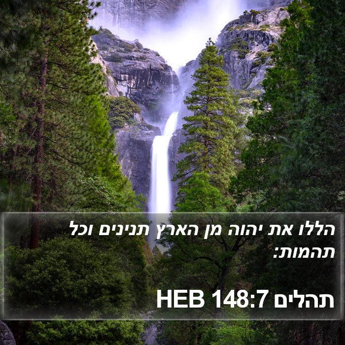 תהלים 148:7 HEB Bible Study