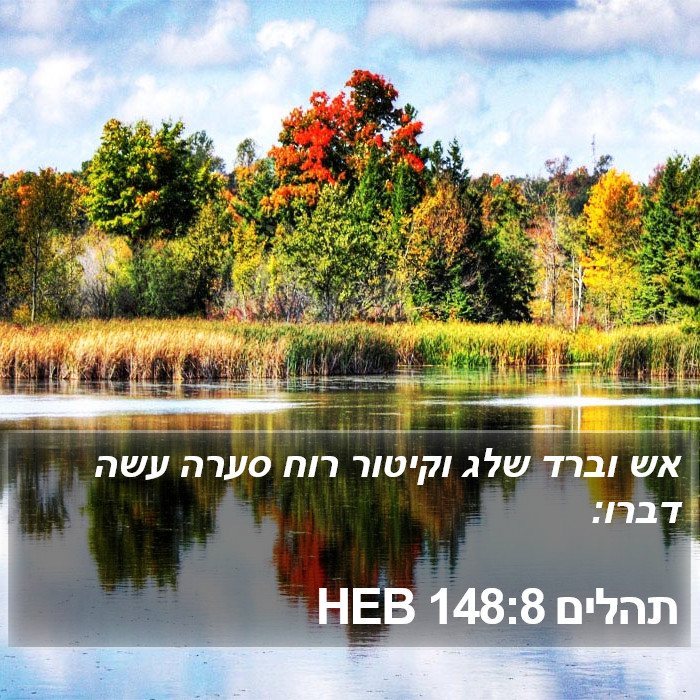 תהלים 148:8 HEB Bible Study