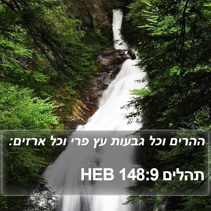 תהלים 148:9 HEB Bible Study