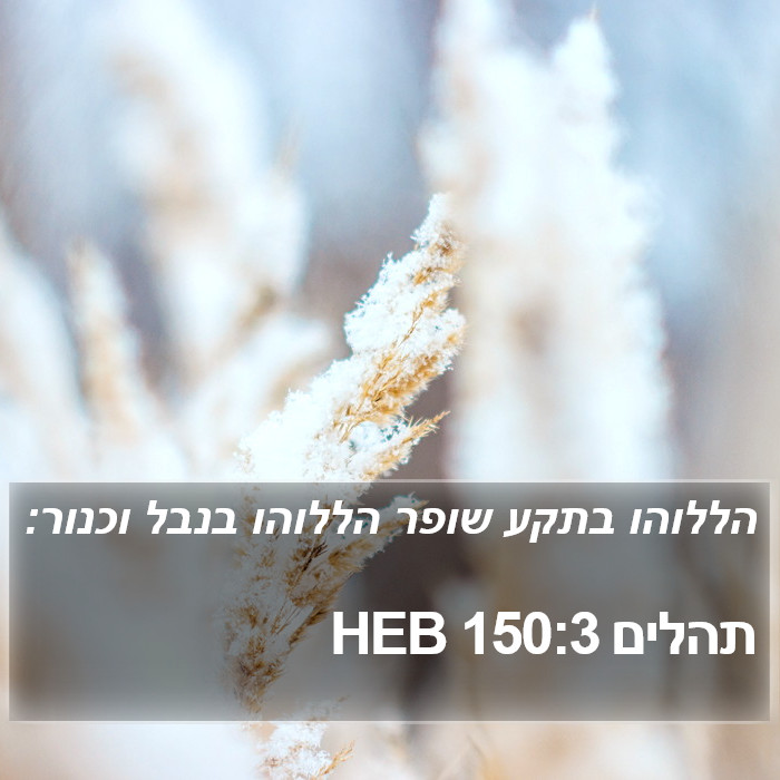 תהלים 150:3 HEB Bible Study