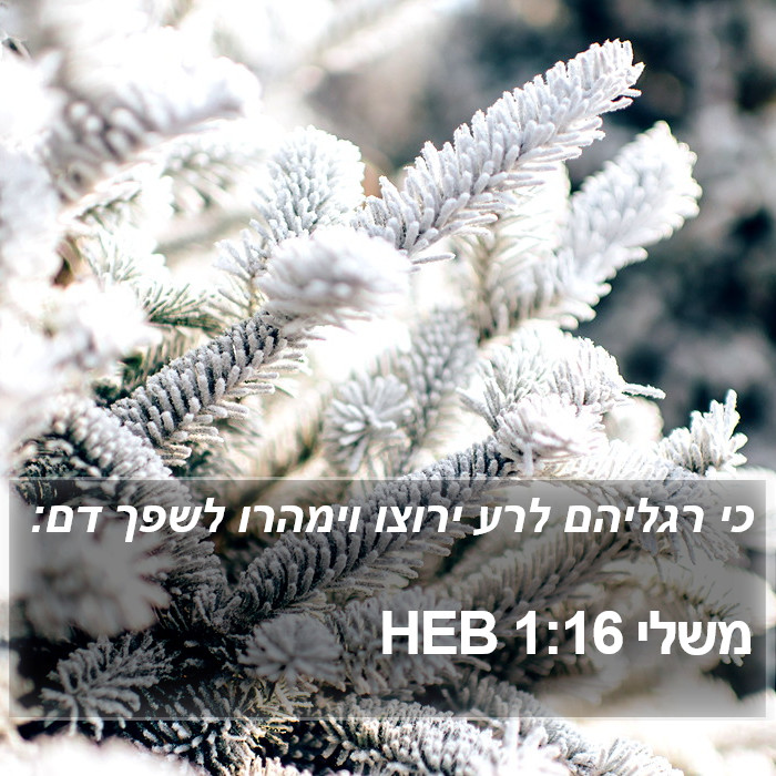 משלי 1:16 HEB Bible Study