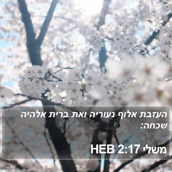 משלי 2:17 HEB Bible Study