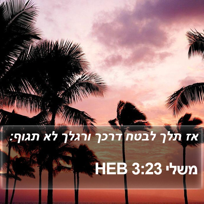 משלי 3:23 HEB Bible Study