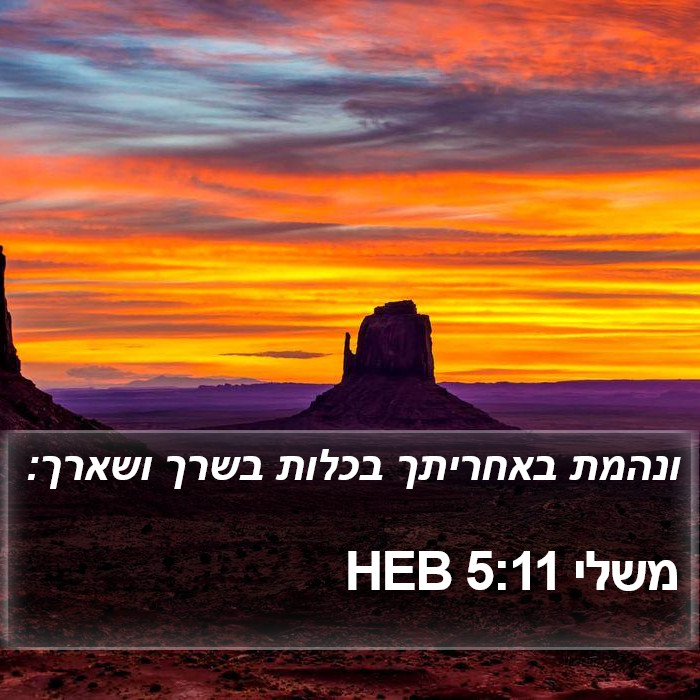 משלי 5:11 HEB Bible Study