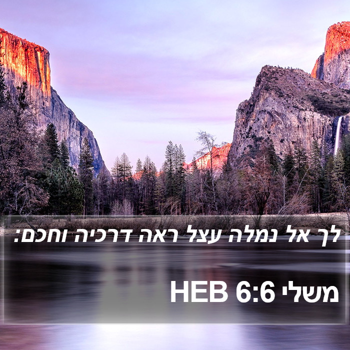 משלי 6:6 HEB Bible Study