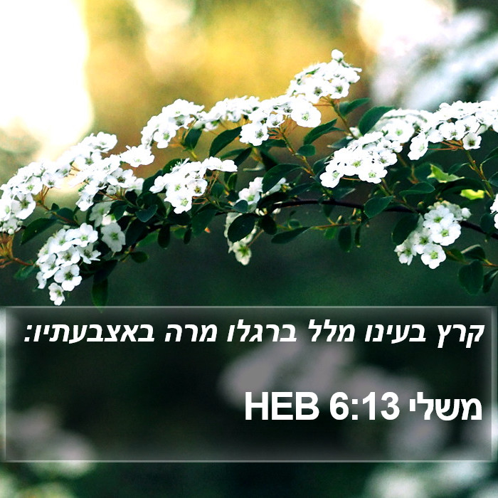 משלי 6:13 HEB Bible Study