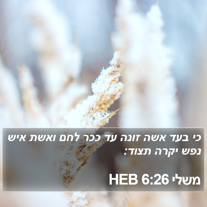 משלי 6:26 HEB Bible Study