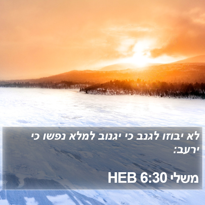 משלי 6:30 HEB Bible Study