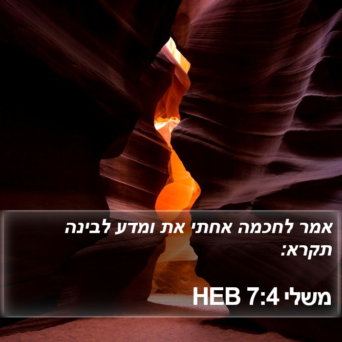 משלי 7:4 HEB Bible Study