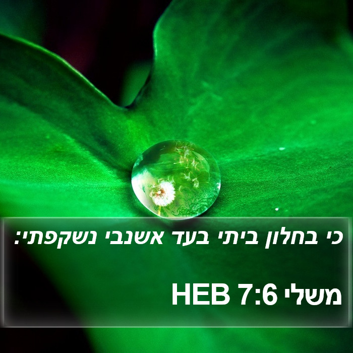 משלי 7:6 HEB Bible Study