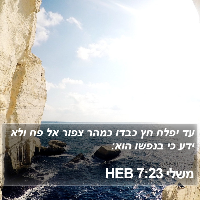 משלי 7:23 HEB Bible Study