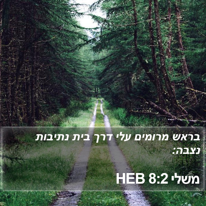 משלי 8:2 HEB Bible Study