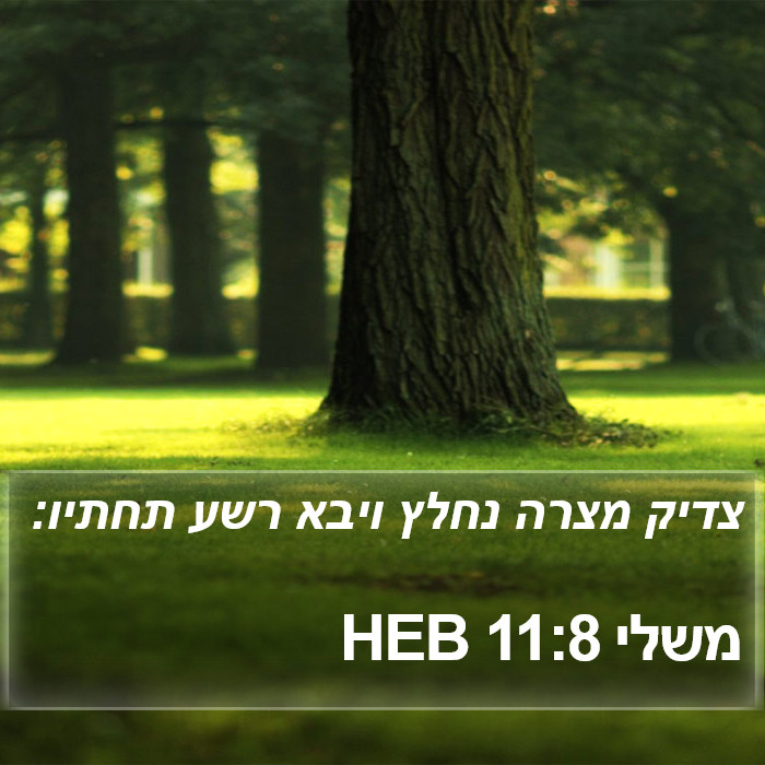 משלי 11:8 HEB Bible Study