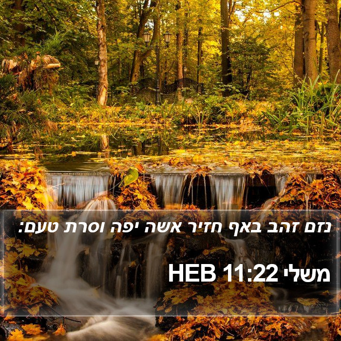 משלי 11:22 HEB Bible Study