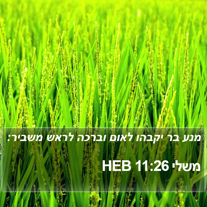 משלי 11:26 HEB Bible Study