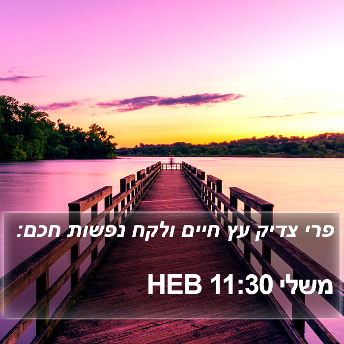 משלי 11:30 HEB Bible Study