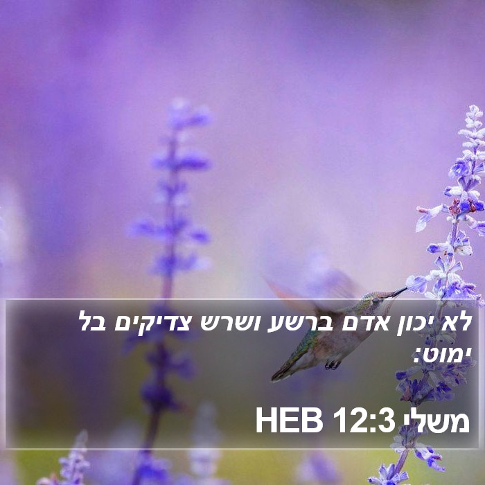 משלי 12:3 HEB Bible Study