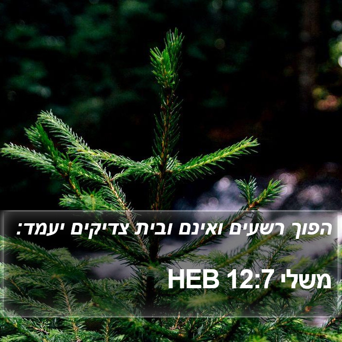 משלי 12:7 HEB Bible Study