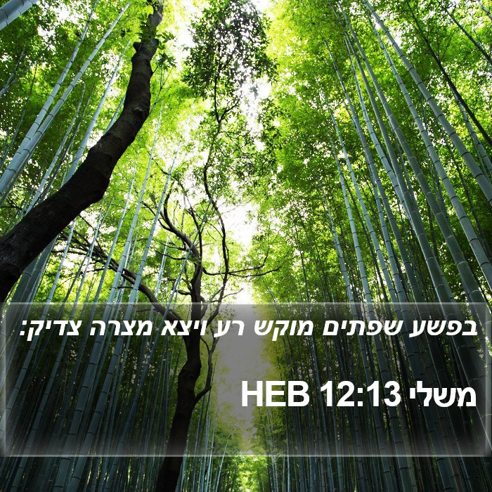 משלי 12:13 HEB Bible Study