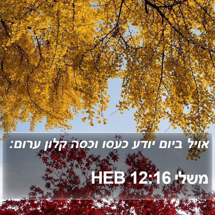 משלי 12:16 HEB Bible Study