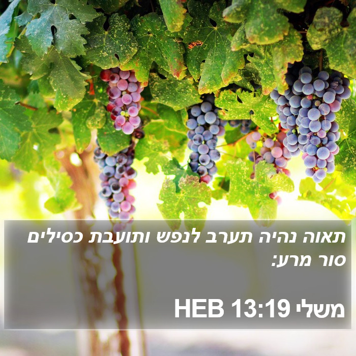 משלי 13:19 HEB Bible Study