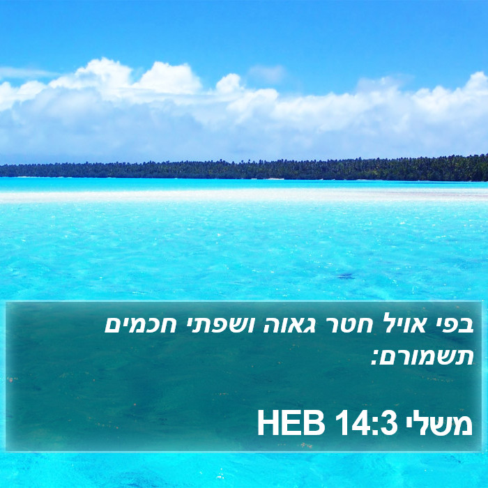 משלי 14:3 HEB Bible Study