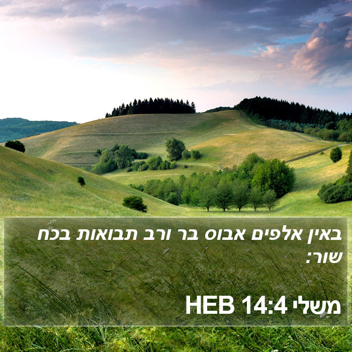 משלי 14:4 HEB Bible Study