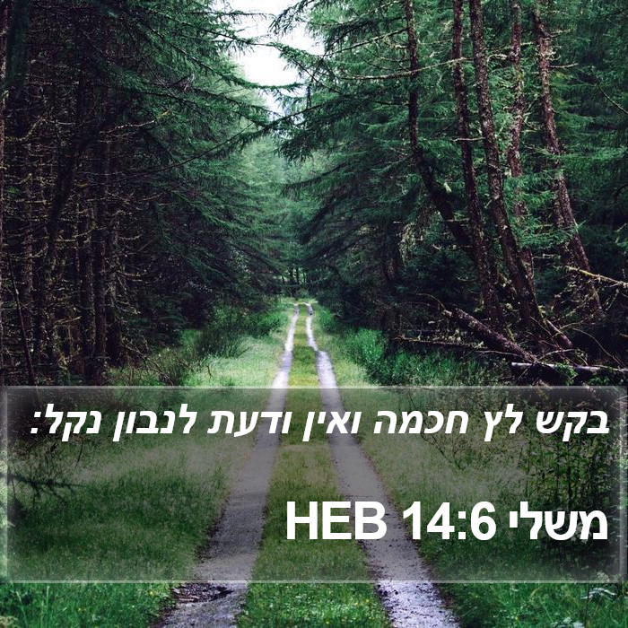 משלי 14:6 HEB Bible Study