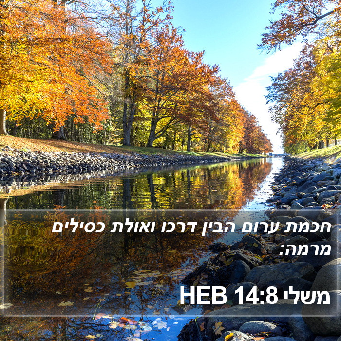 משלי 14:8 HEB Bible Study