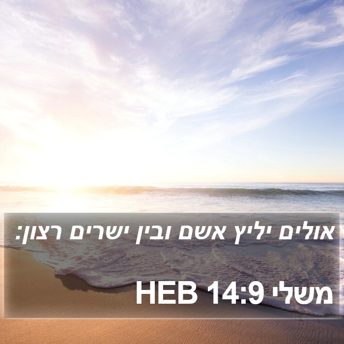 משלי 14:9 HEB Bible Study