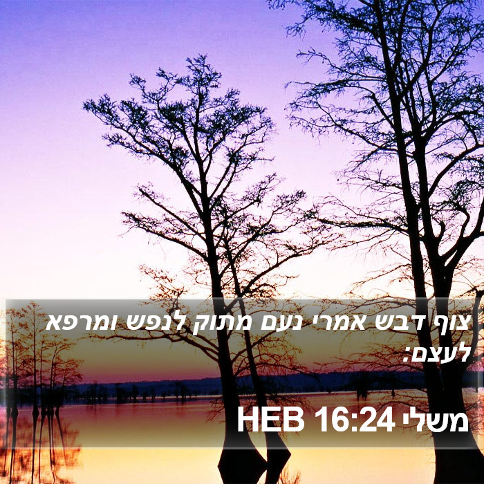 משלי 16:24 HEB Bible Study