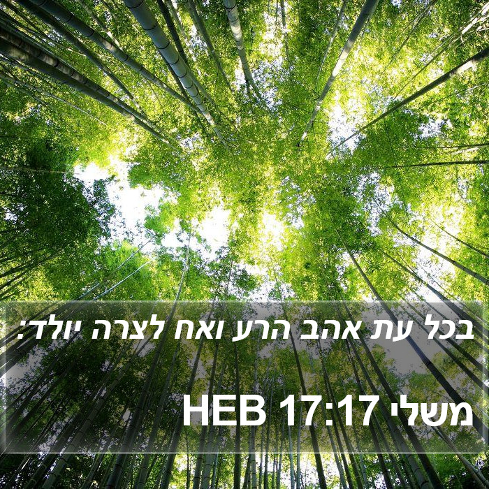 משלי 17:17 HEB Bible Study