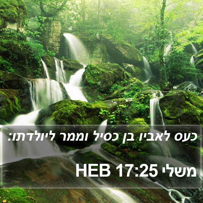 משלי 17:25 HEB Bible Study