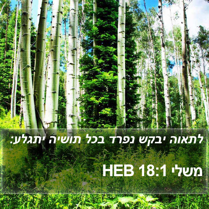 משלי 18:1 HEB Bible Study