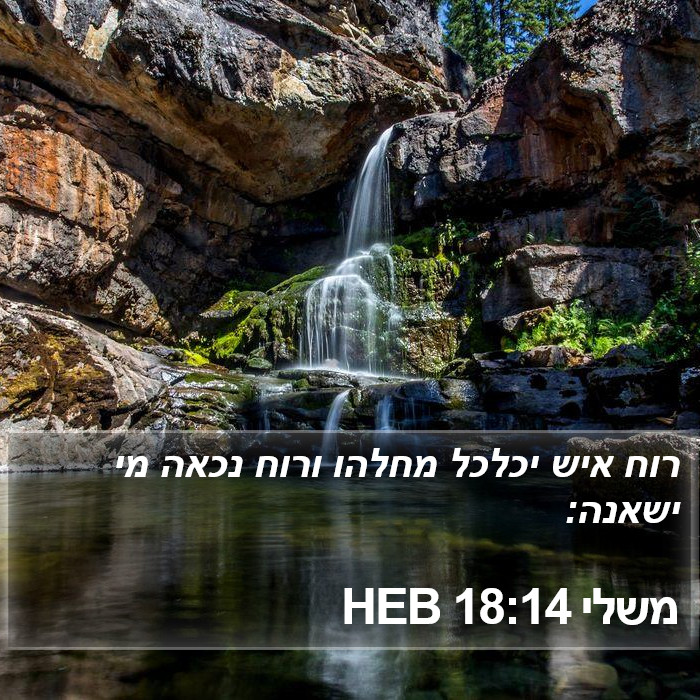 משלי 18:14 HEB Bible Study