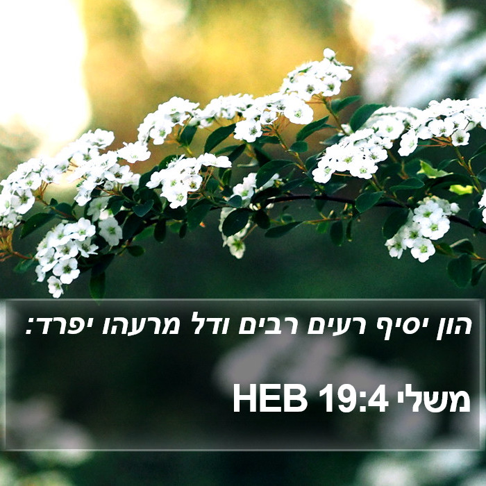 משלי 19:4 HEB Bible Study