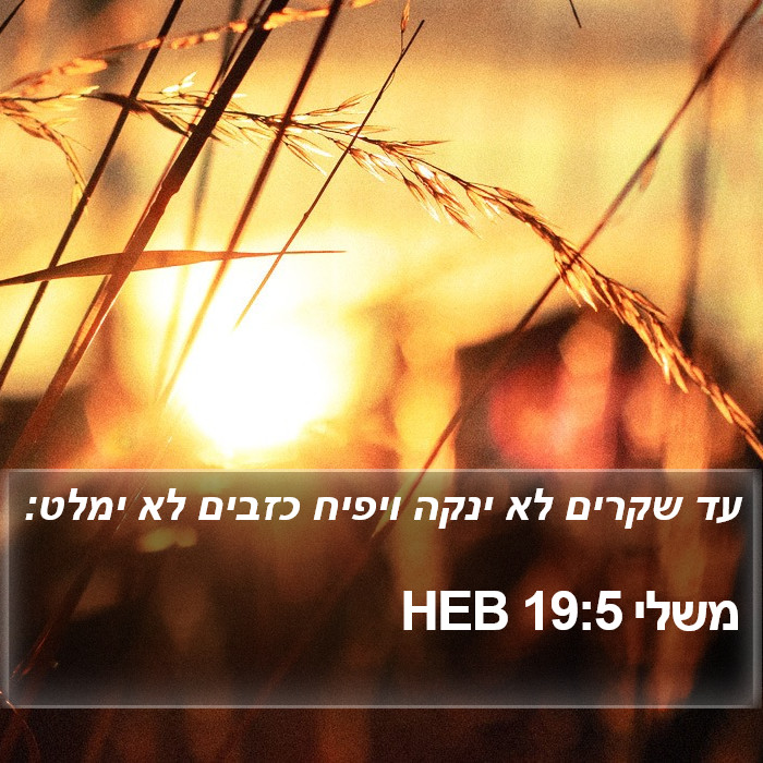 משלי 19:5 HEB Bible Study