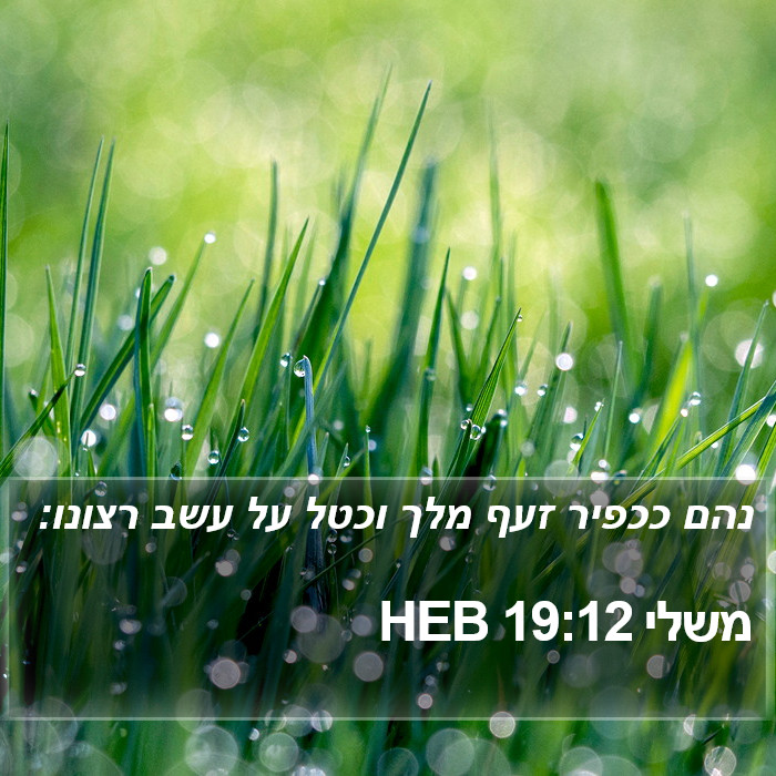 משלי 19:12 HEB Bible Study