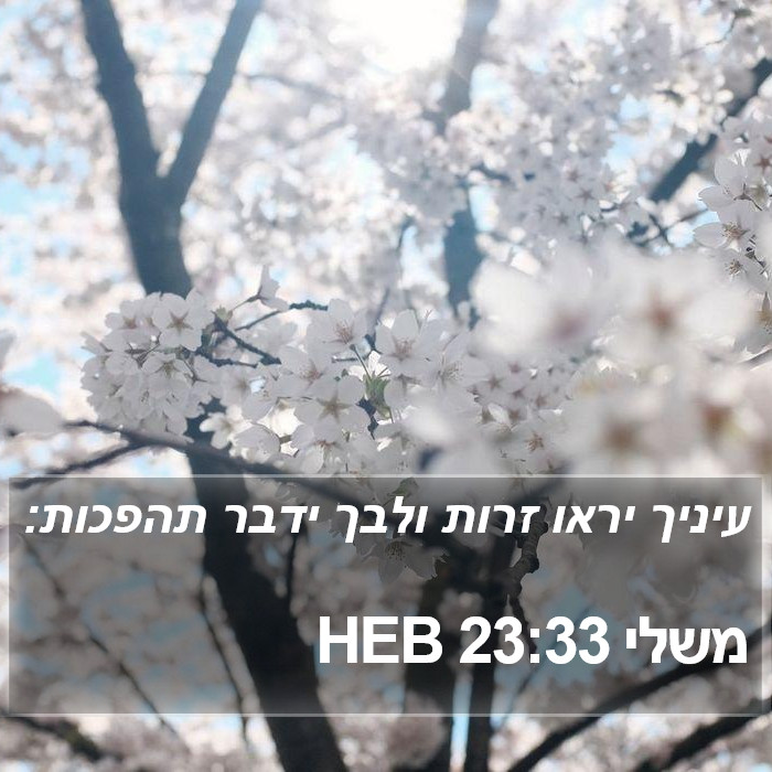 משלי 23:33 HEB Bible Study