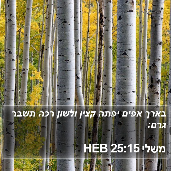 משלי 25:15 HEB Bible Study