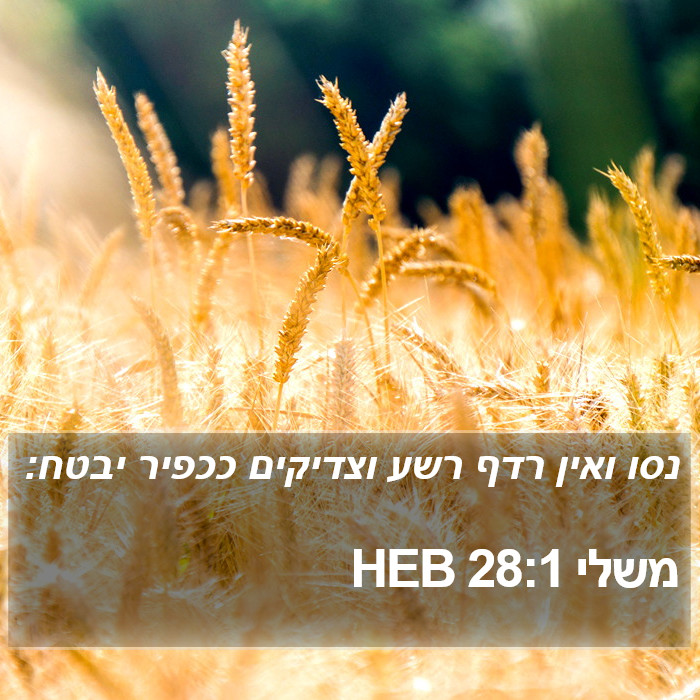 משלי 28:1 HEB Bible Study