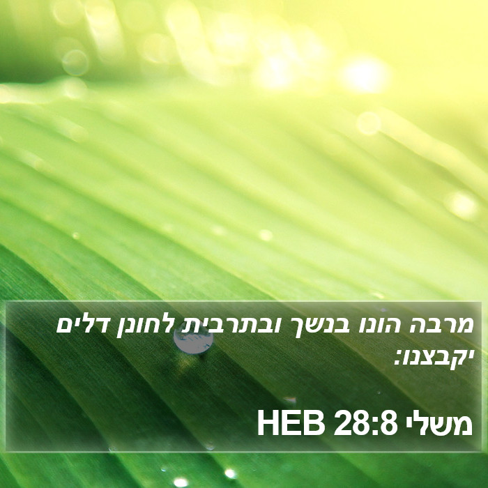 משלי 28:8 HEB Bible Study