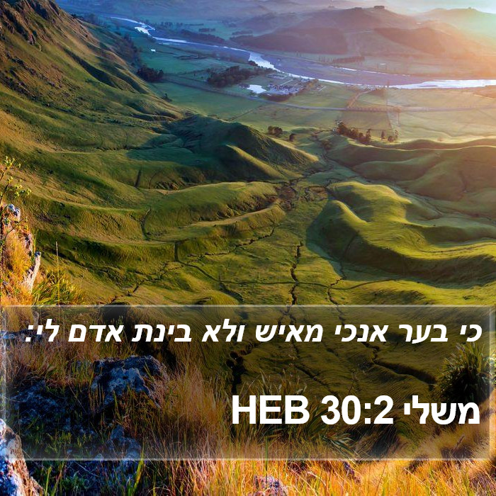 משלי 30:2 HEB Bible Study