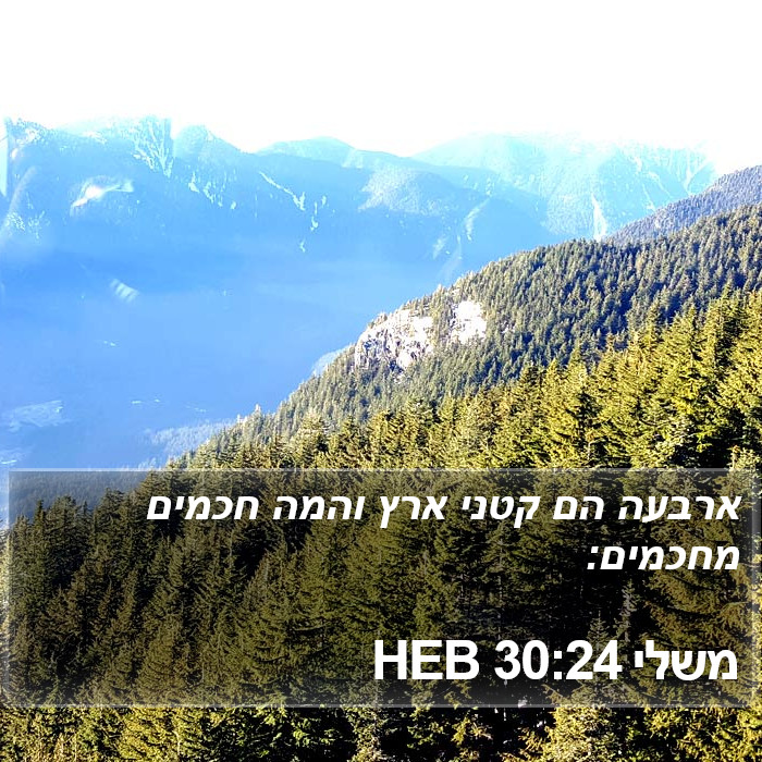 משלי 30:24 HEB Bible Study