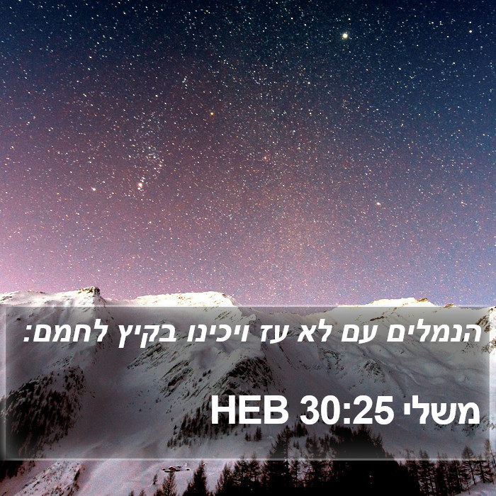 משלי 30:25 HEB Bible Study