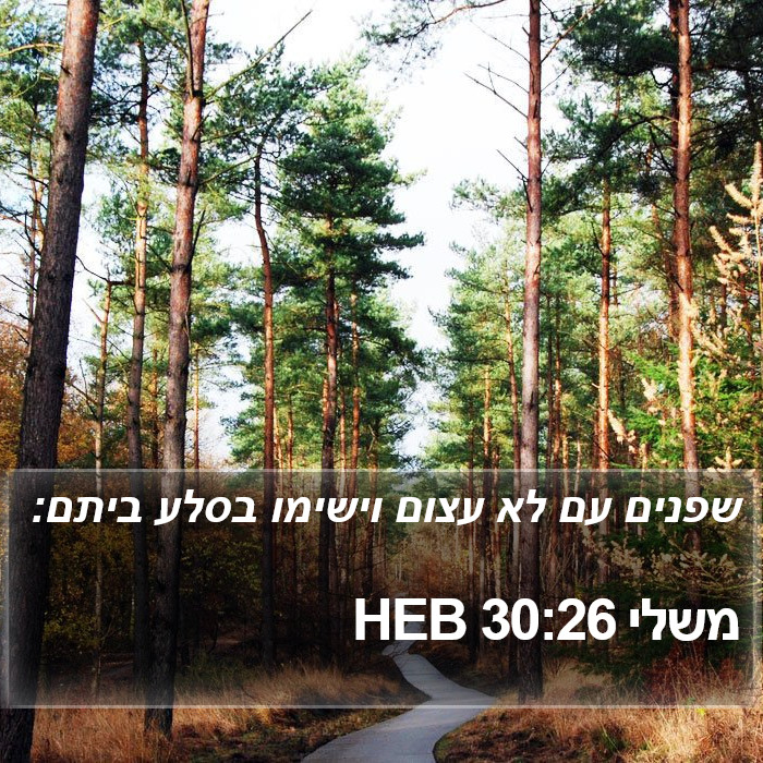 משלי 30:26 HEB Bible Study