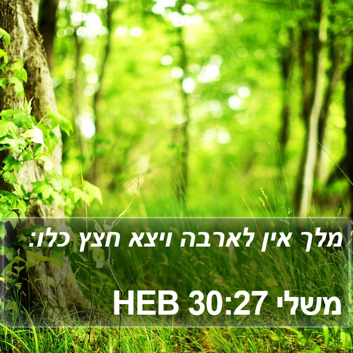 משלי 30:27 HEB Bible Study