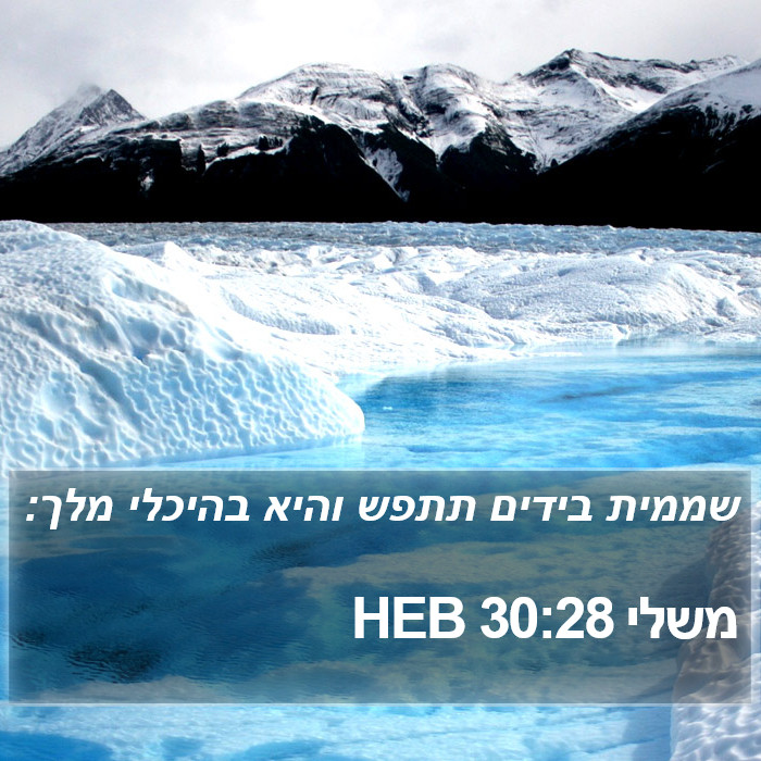 משלי 30:28 HEB Bible Study